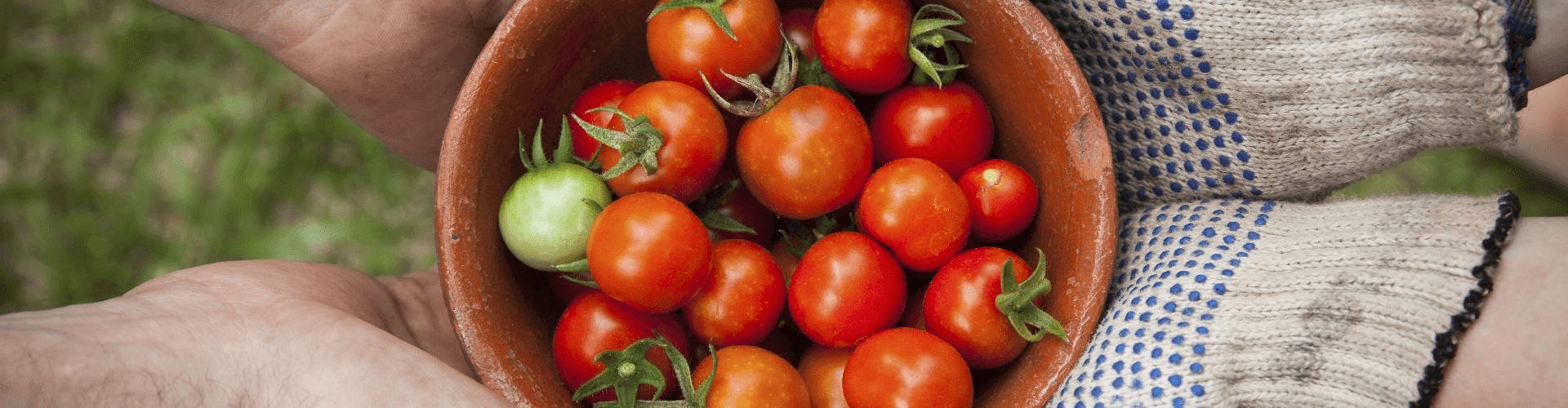 Executive Search from  Field to Fork